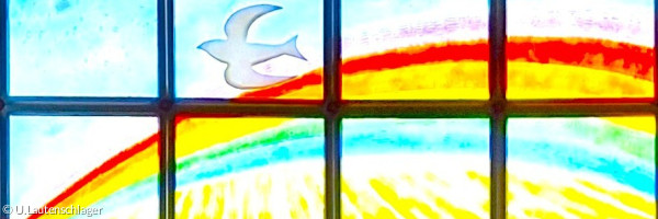 Fenster Arche