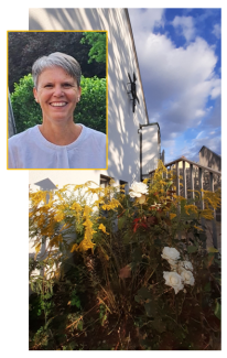 Anne eienführung