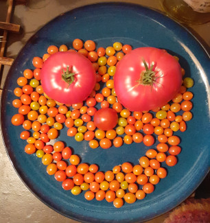 Tomatoface